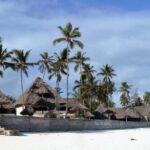 Zanzibar - Stone town tour & Nakupenda Beach tour - Who Will Love This Tour?