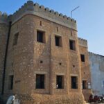 Zanzibar: Stone Town Tour, Prison Island and Jozani Forest - Prison Island: A Step Back in Time