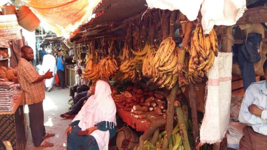 Zanzibar: Stone Town Tour & Spice Tour with Lunch - Authentic Insights from Past Travelers