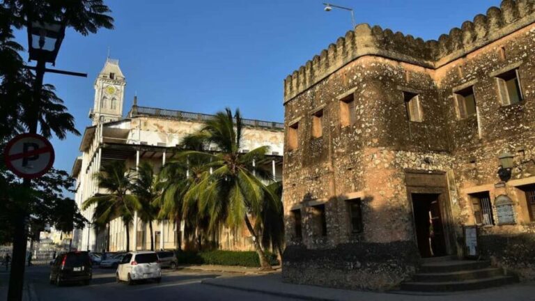 Zanzibar: Stone Town Visit & Kayak Tour in Mangrove Forest - FAQ