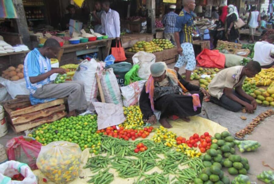 Zanzibar: Stone Town Walking Tour - Why Choose This Tour?