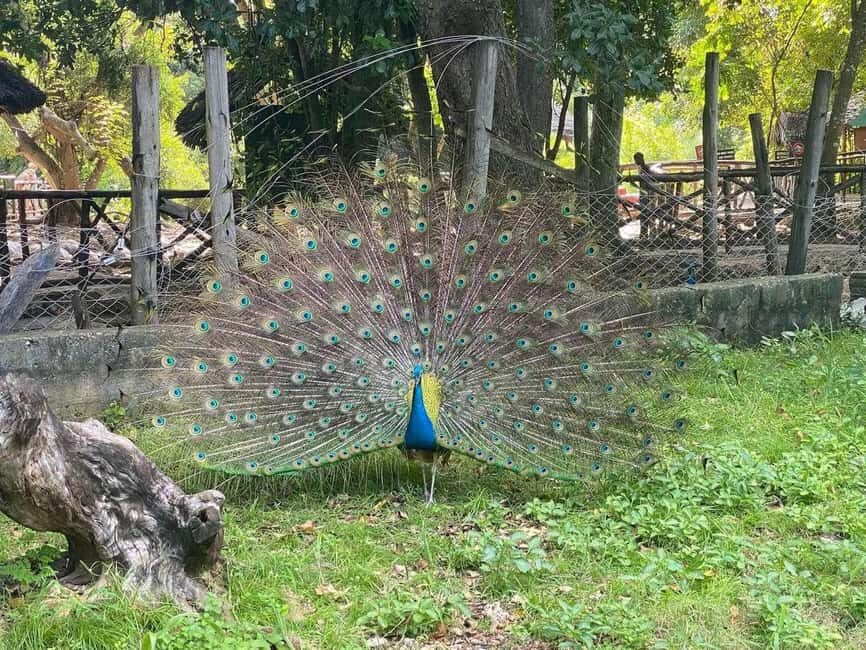 Zanzibar: Stone Town Walking Tour and Prison Island day Trip - Relaxation, Snorkeling, and Natural Beauty
