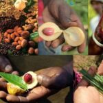 Zanzibar: Stone town walking tour +Prison Island and spice - What Makes This Tour Special?