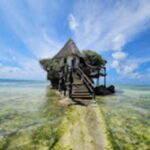 ZANZIBAR: Stone Town,Star fish, with lagoon and the rock - Who Will Love This Tour?