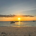 Zanzibar: Sunset Cruise Sail Dhow Adventure with Pickup - Why You Should Consider This Tour