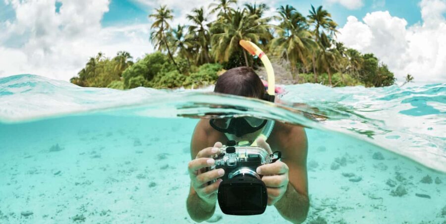 Zanzibar : Swim with dolphin + Snorkel mnemba coral Reef - The Itinerary: What to Expect from Start to Finish