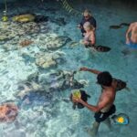Zanzibar: Swimming with Turtles at Salaam Cave Aquarium - Detailed Breakdown of the Experience