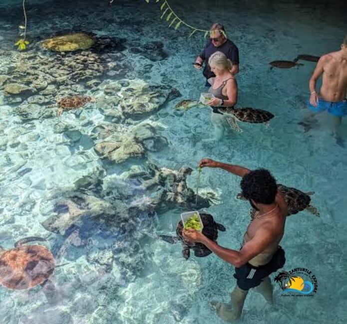 Zanzibar: Swimming with Turtles at Salaam Cave Aquarium - Detailed Breakdown of the Experience
