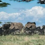 Zanzibar: Tarangire and Ngorongoro 3-Day Safari - Exploring the Itinerary in Detail