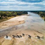Zanzibar: Tarangire National Park and Ngorongoro Crater Tour - Discovering Tanzania in Just Two Days