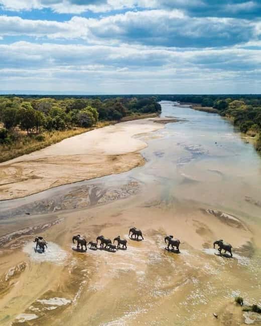 Zanzibar: Tarangire National Park and Ngorongoro Crater Tour - Discovering Tanzania in Just Two Days
