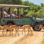 Zanzibar to Mikumi Ultimate Day Trip Safari Adventure - The Value of the Tour: Is It Worth the Price?