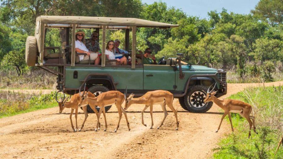 Zanzibar to Mikumi Ultimate Day Trip Safari Adventure - The Value of the Tour: Is It Worth the Price?