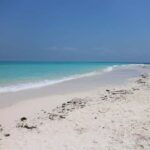Zanzibar Tours: Mnemba & Dolphin Tour From Nungwi Or Kendwa - Why We Love This Tour