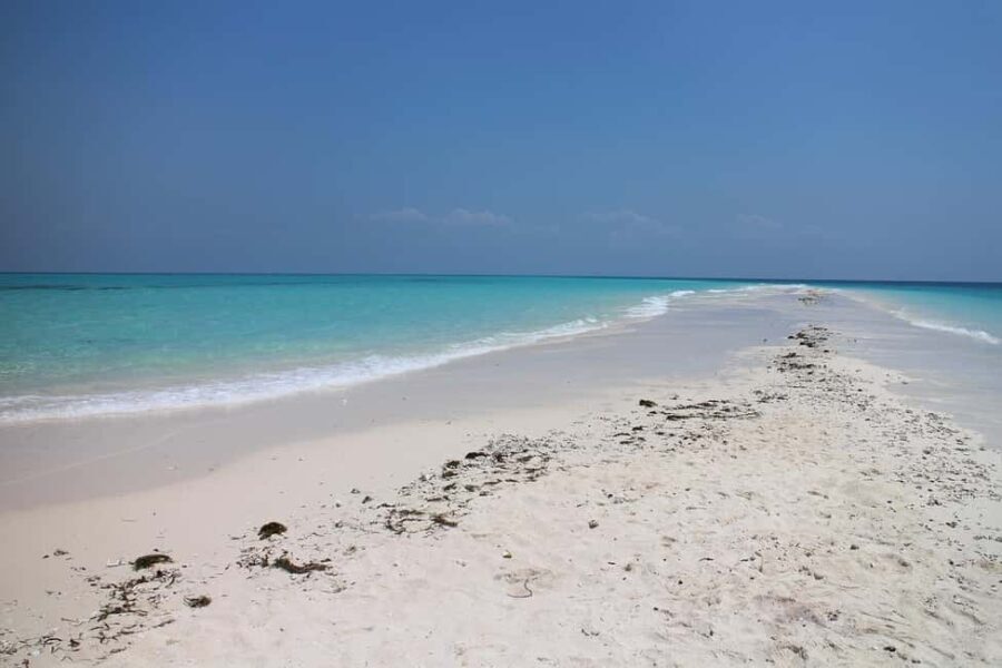 Zanzibar Tours: Mnemba & Dolphin Tour From Nungwi Or Kendwa - Why We Love This Tour