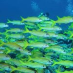 Zanzibar: Tropical Spice Garden Tour, Boat, & Lunch Break - How the Itinerary Breaks Down