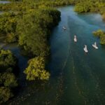 Zanzibar: Unique Guided Mangrove Tour by SUP or Kayak - Why Choose This Tour?