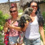Zanzibar: Wildlife Zoo Kilosa and Baraka Natural Aquarium - The Itinerary Breakdown