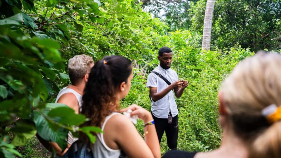 Zanzibar:Day Spice,secret flavor,Jozani forest,Prison island - Savoring Zanzibar’s Spices