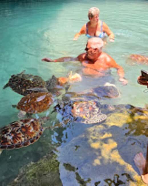 ZANZIBAR:Jozani forest,baraka aquarium and Kendwa beach - Relaxing at Kendwa Beach