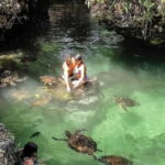 ZANZIBAR:Jozani forest,Visit Sea turtles Sanctuary+the rock - Lunch & Relaxation at The Rock Restaurant