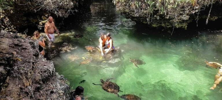 ZANZIBAR:Jozani forest,Visit Sea turtles Sanctuary+the rock - Lunch & Relaxation at The Rock Restaurant