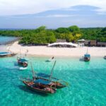 ZANZIBAR:Luxuary Blue Safari with private boat and BBQ lunch - What’s Included and What’s Not