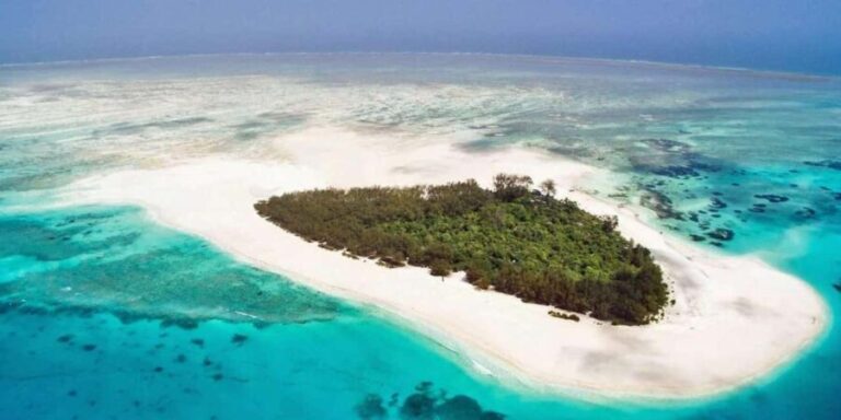 ZANZIBAR:Mnemba island and Jozani fores with sea food lunch - Authentic Insights & Guest Perspectives