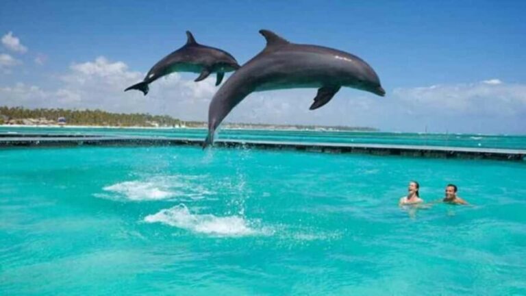 ZANZIBAR:Mnemba island, Baraka aquarium and Kendwa beach - Visiting Kendwa Beach and Baraka Aquarium