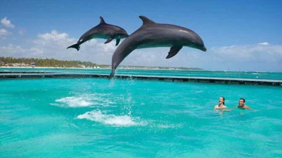 ZANZIBAR:Mnemba island, Baraka aquarium and Kendwa beach - Visiting Kendwa Beach and Baraka Aquarium