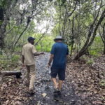 ZANZIBAR:Mnemba island, Spice farm and Jozani Forest - The Sum Up
