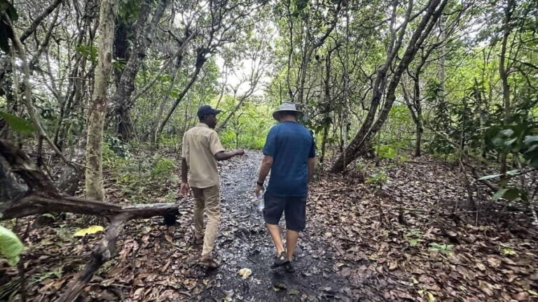 ZANZIBAR:Mnemba island, Spice farm and Jozani Forest - The Sum Up