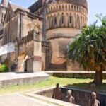 ZANZIBAR:Mnemba island, Stone town and Jozani Forest - Key Points