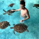 ZANZIBAR:Mnemba island,Spice farm and Sea turtles Sanctuary - The Experience: What Travelers Are Saying