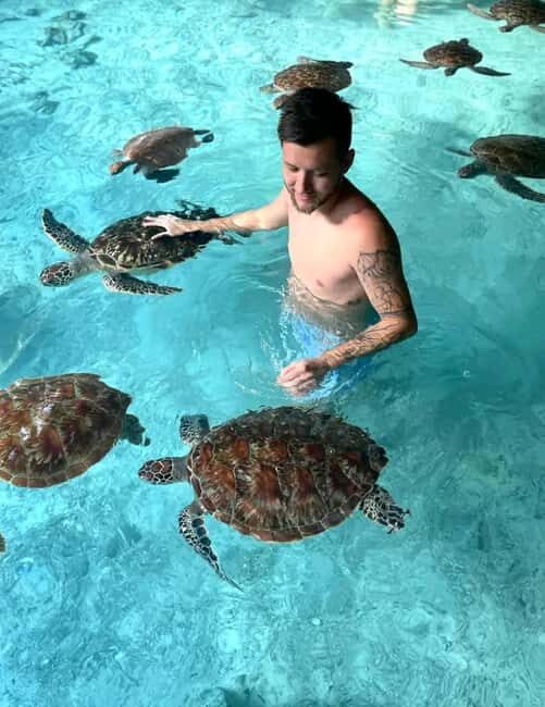 ZANZIBAR:Mnemba island,Spice farm and Sea turtles Sanctuary - The Experience: What Travelers Are Saying