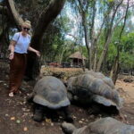 ZANZIBAR:Prison Island, Spice farm and Sea turtles Sanctuary - Discovering Zanzibar: Beyond Just a Tropical Getaway