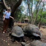 ZANZIBAR:Prison island,Stone town and Sea turtles Sanctuary - Detailed Breakdown of the Experience
