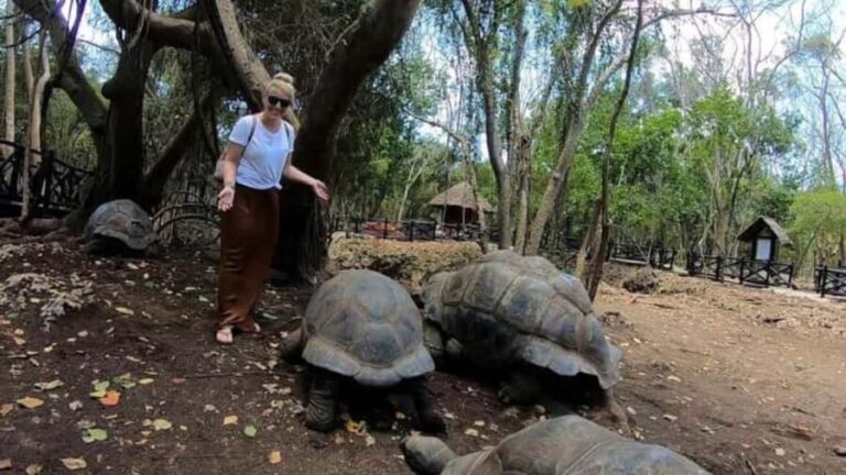 ZANZIBAR:Prison island,Stone town and Sea turtles Sanctuary - Detailed Breakdown of the Experience