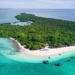 ZANZIBAR:Safari blue pivate boat and Sea turtle sanctuary - Exploring the Itinerary in Detail