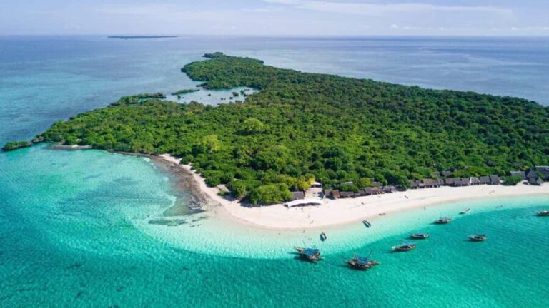 ZANZIBAR:Safari blue pivate boat and Sea turtle sanctuary - Exploring the Itinerary in Detail