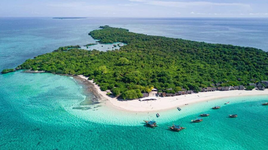 ZANZIBAR:Safari blue pivate boat and Sea turtle sanctuary - Exploring the Itinerary in Detail