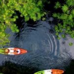 ZANZIBAR:Spice Farm and Kayak Tour in Mangrove Forest - Whats Included & Whats Not?