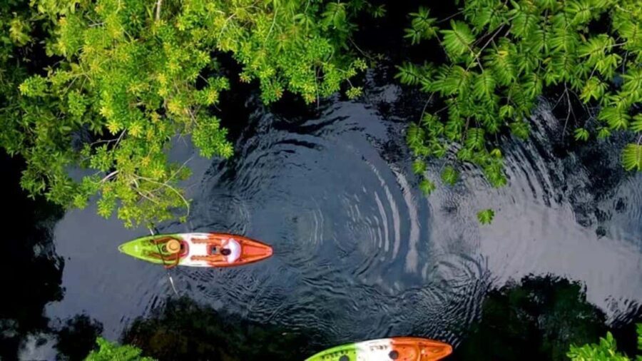 ZANZIBAR:Spice Farm and Kayak Tour in Mangrove Forest - Whats Included & Whats Not?
