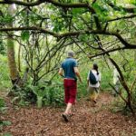 ZANZIBAR:Spice farm,Jozani forest and Kuza Cave - Who is This Tour Best For?