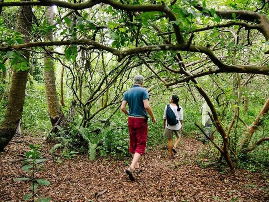 ZANZIBAR:Spice farm,Jozani forest and Kuza Cave - Who is This Tour Best For?