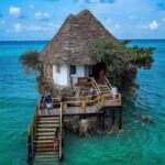 ZANZIBAR:Spice Tour,Jozani forest,kuza cave and the rock - What’s Included and What’s Not