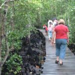 ZANZIBAR:Stone town,jozani forest and Mtende beach - Cultural and Historical Charm of Stone Town