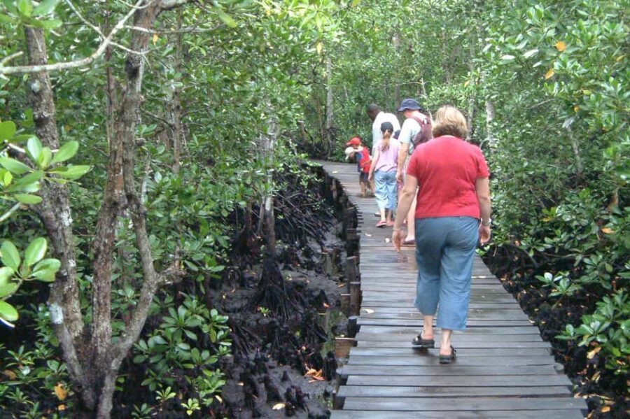 ZANZIBAR:Stone town,jozani forest and Mtende beach - Cultural and Historical Charm of Stone Town
