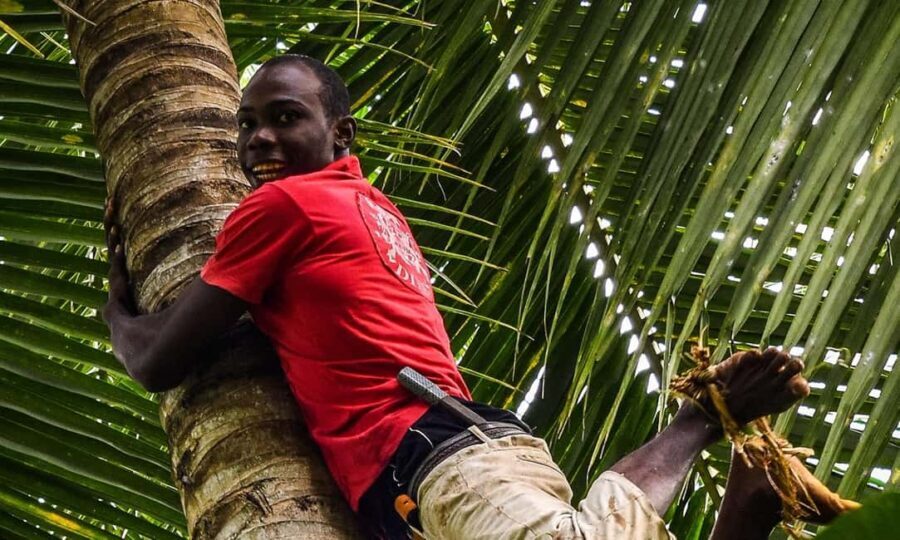 ZANZIBAR:Stone town,spice farm and Kendwa beach tour - The Spice Farm Experience