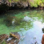 ZANZIBAR:Stonetown,Baraka aquarium and spice farm with lunch - Who Will Enjoy This Tour Most?